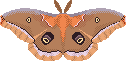A large static pixel art image depicting the back of a brown polyphemus moth